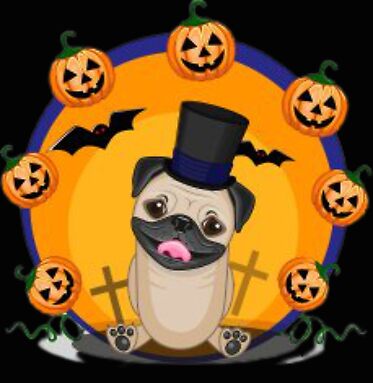 Pug in Top Hat with Pumpkins